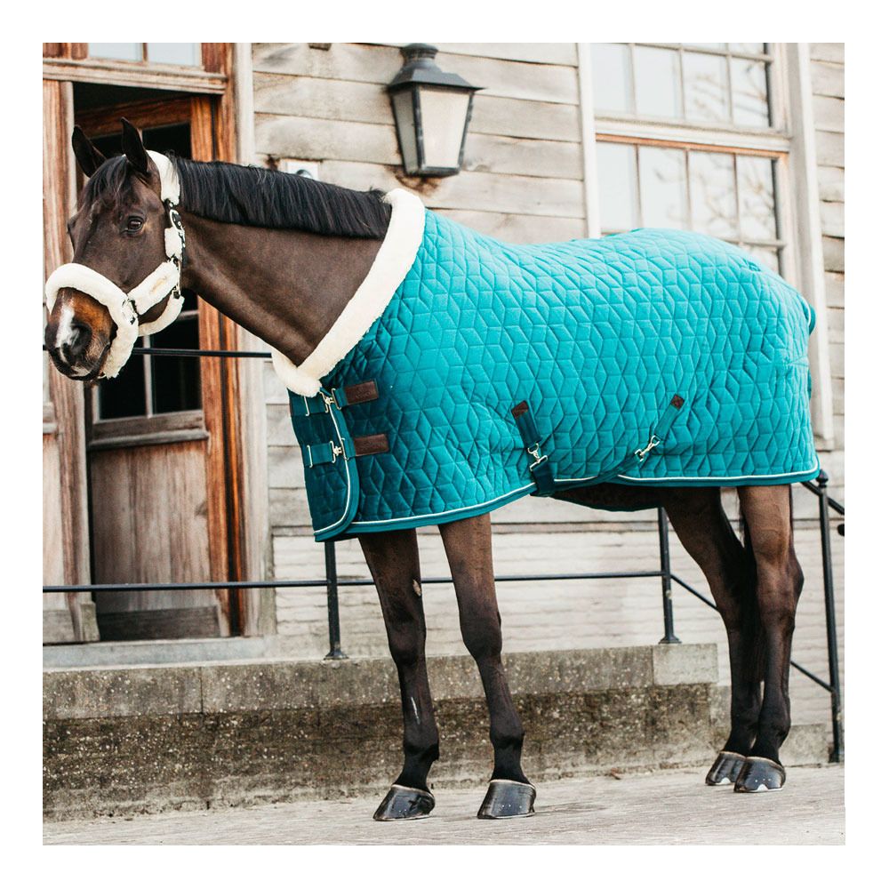 Kentucky VELVET 160G - Couverture de présentation emerald