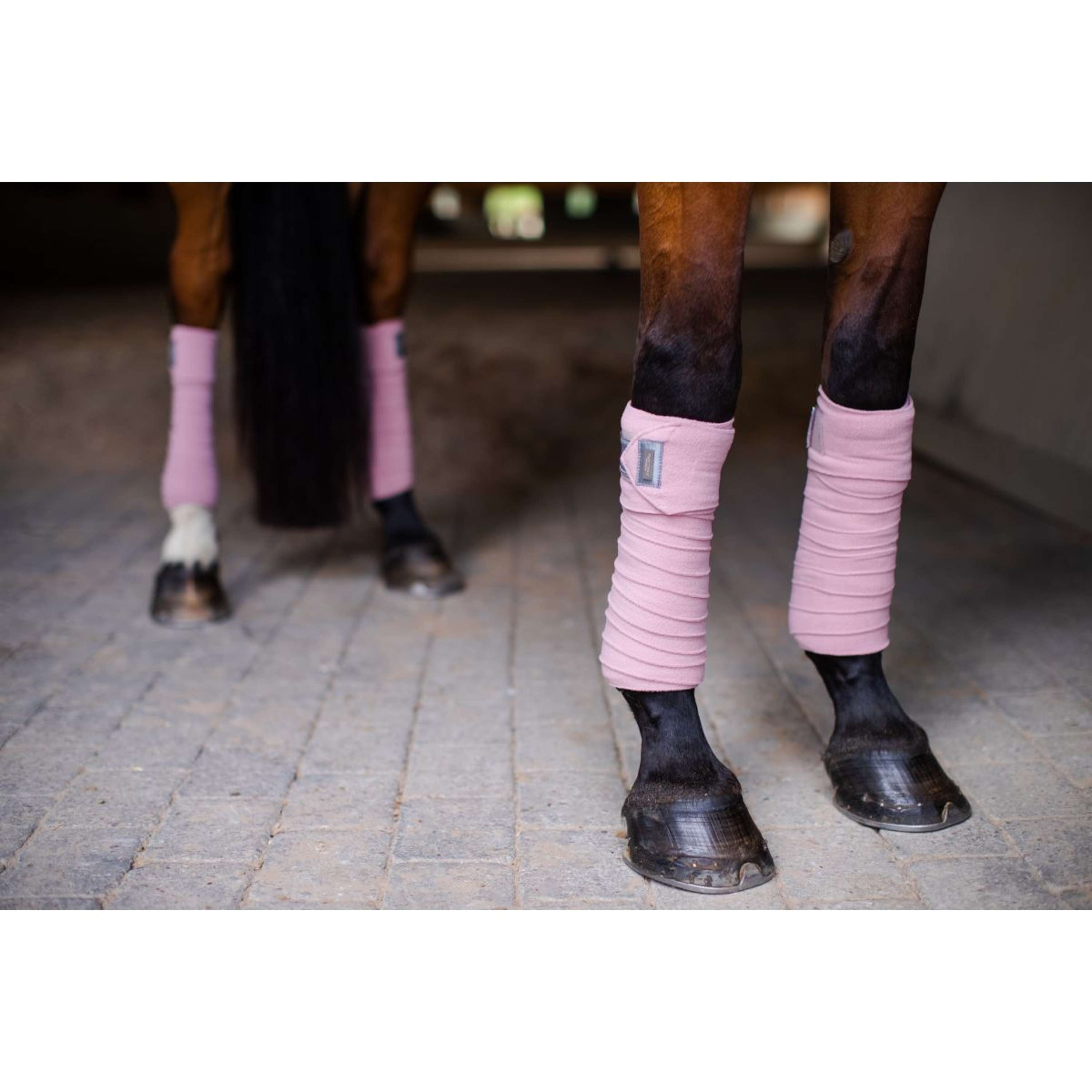 Equestrian Stockholm Bandages Roze