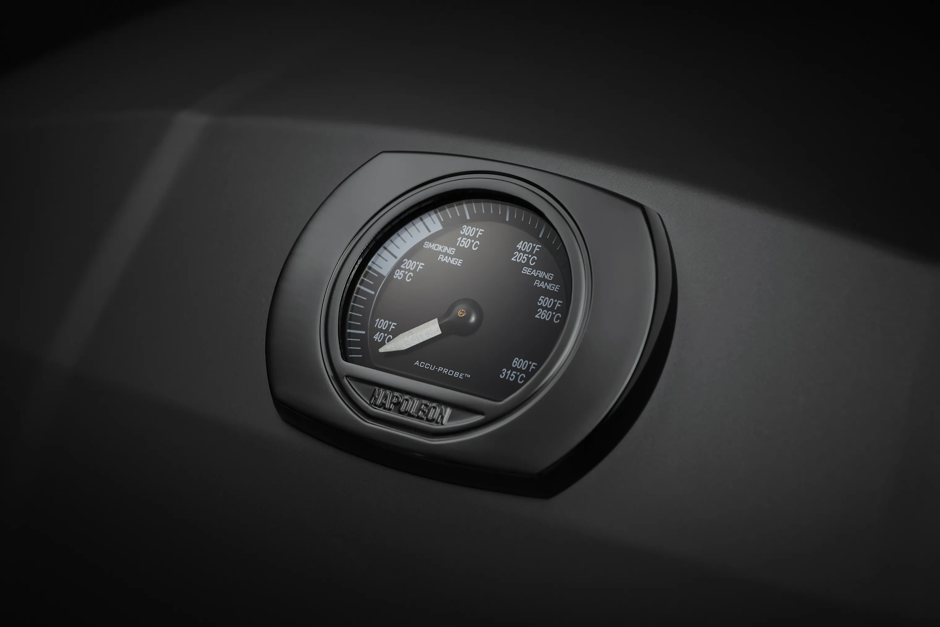 Napoleon TravelQ Phantom Gasgrill PRO285X