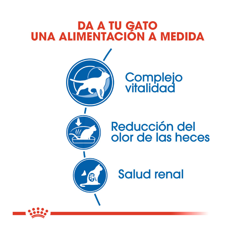 Ração Royal Canin Home Life Indoor 7+ para gatos