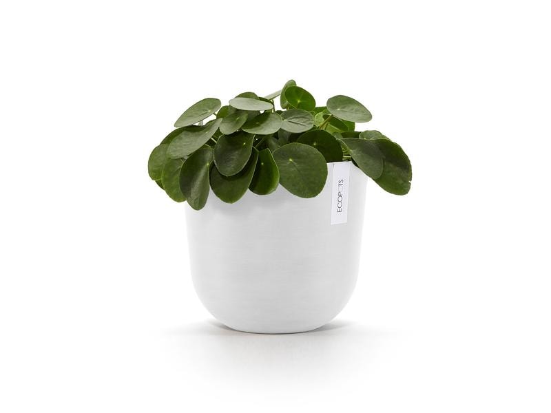 Ecopots Pflanzentopf Oslo 25, Weiss Robuster und langlebiger Blumentopf