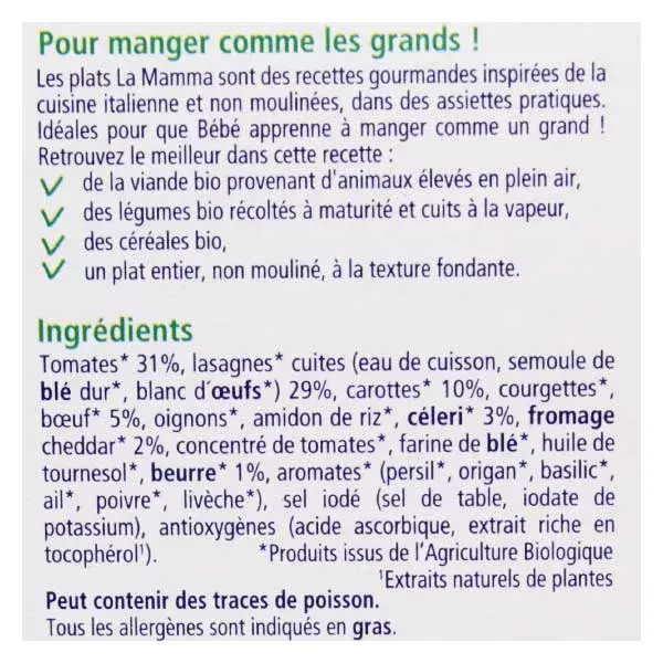 Hipp Bio La Mamma Lasagnes à la Bolognaise +15m 250g