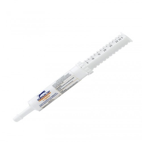 Suplemento vitamínico de lisina Duralactin para gatos