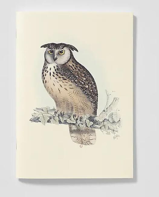 CARNET DE NOTES OISEAUX DE L HIMALAYA