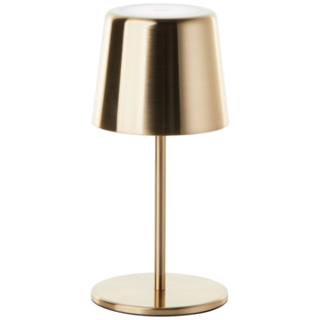 Brilliant USB oplaadbare buitenlamp Xaana 2W bruin