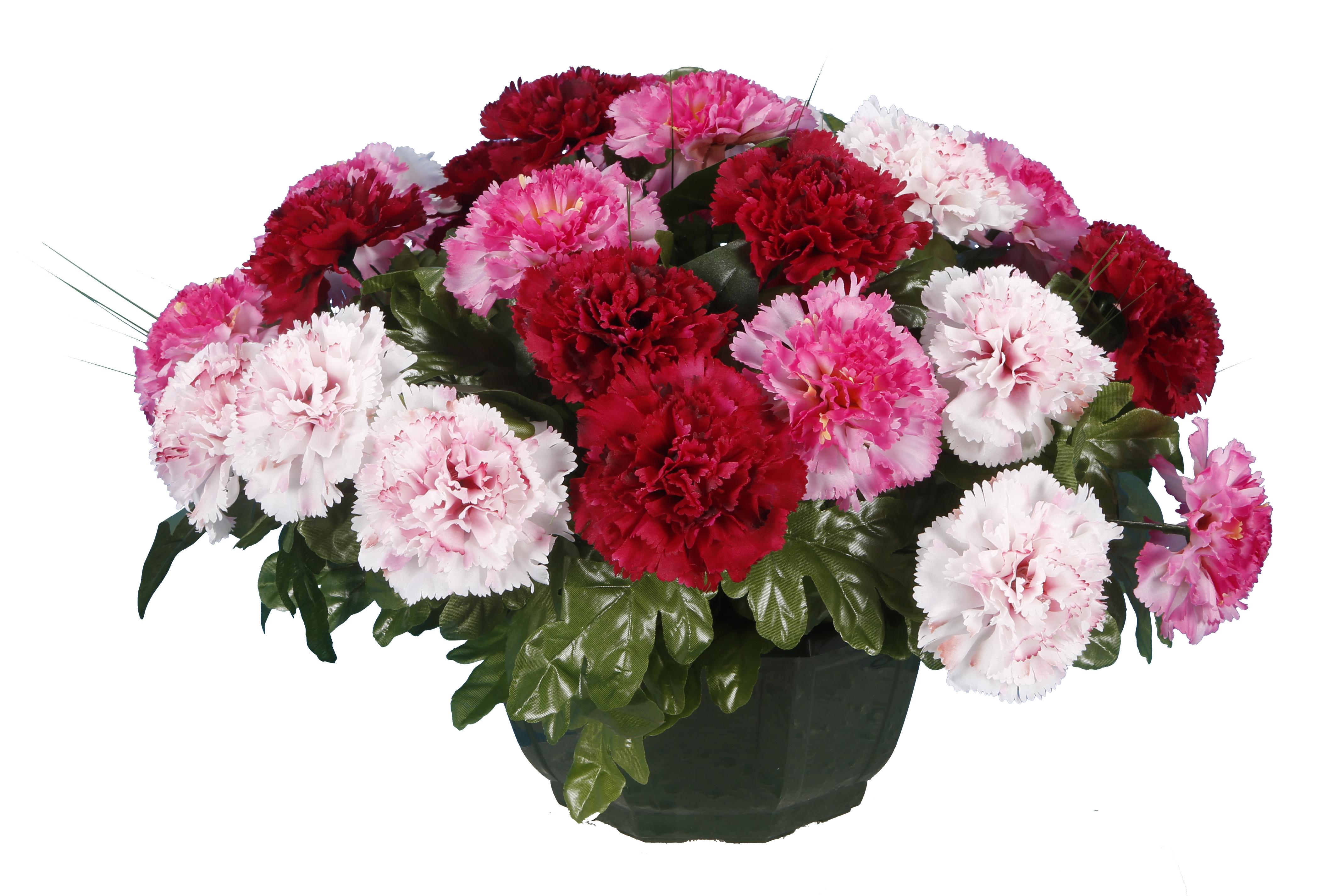 COUPE OEILLET CAMAIEU