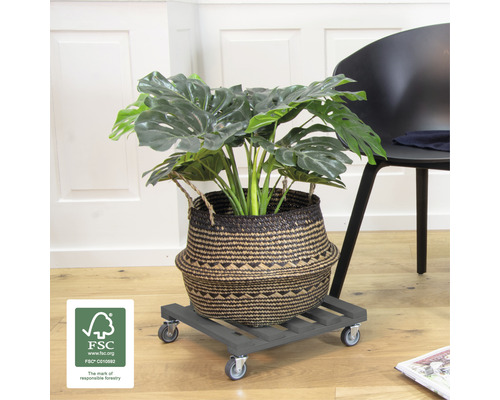 Wagner plantenwagen 38 x 38 x 9,5 cm hout antraciet