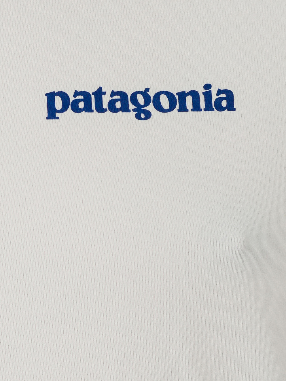 Patagonia Cap Cool Daily Graphic Lycra boardshort logo white