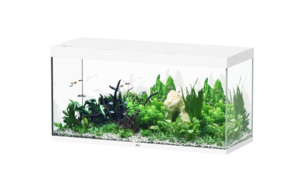 Aquatlantis Sublime 150x60 aquarium | Gloednieuw