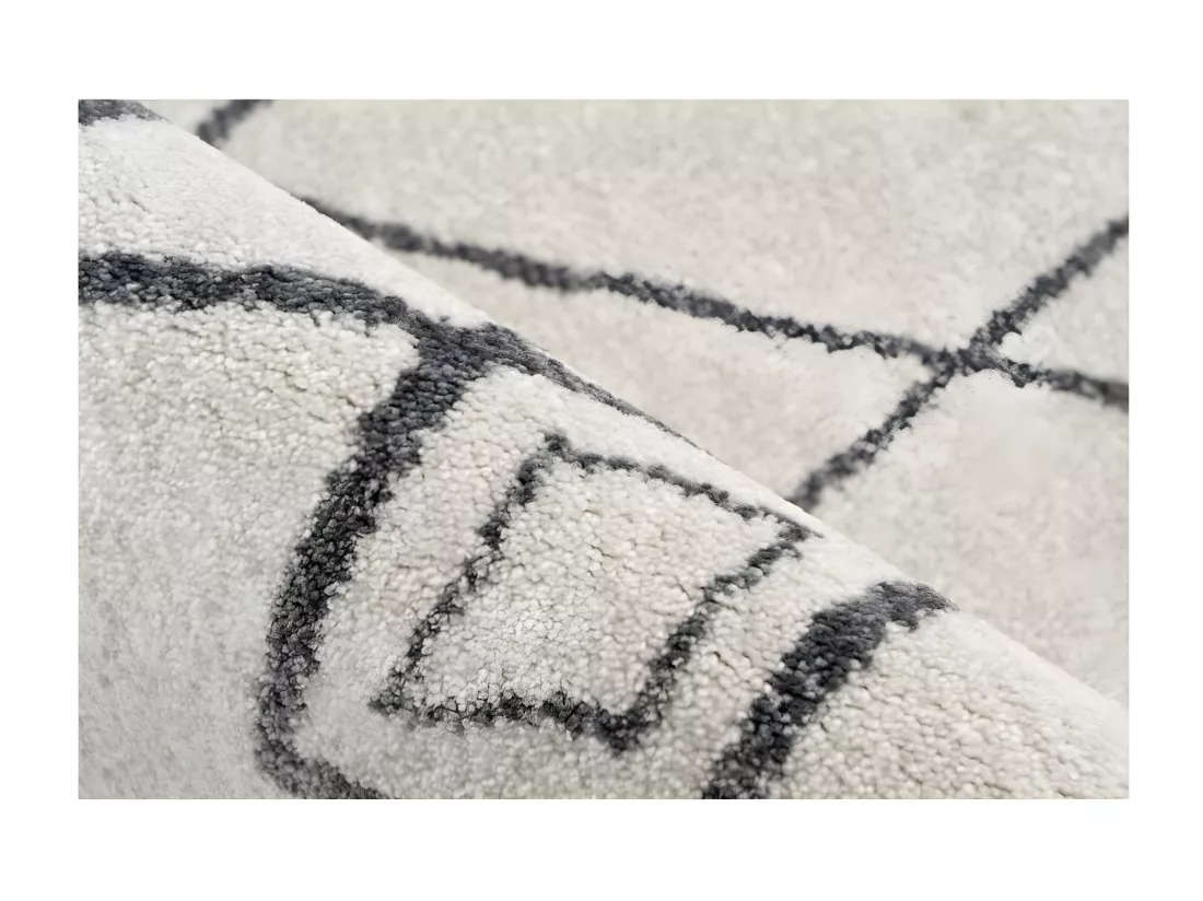 Tapis 290x200cm, design A205R coloris ivoire - Confort et élégance pour votre intérieur