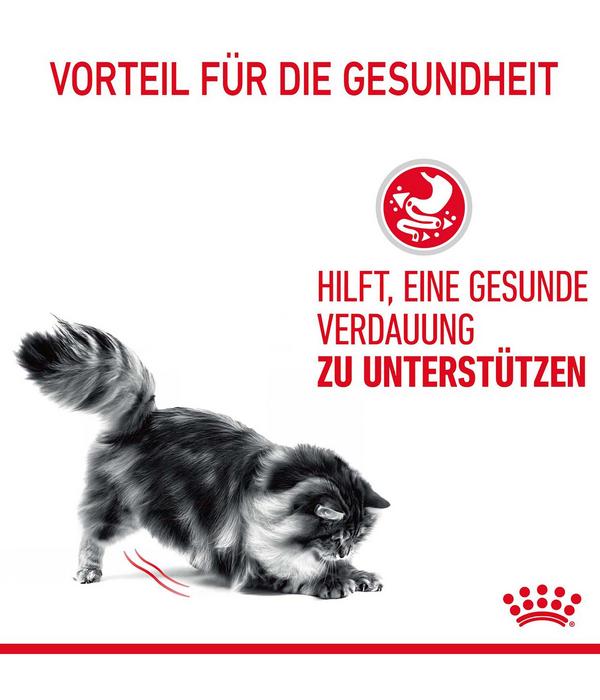 ROYAL CANIN® Nassfutter für Katzen Digestive