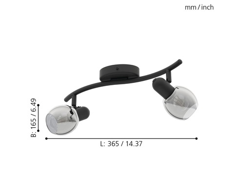 Plafondspot, 2-lichts, HxL 16,5x36,5 cm, zwart/transparant