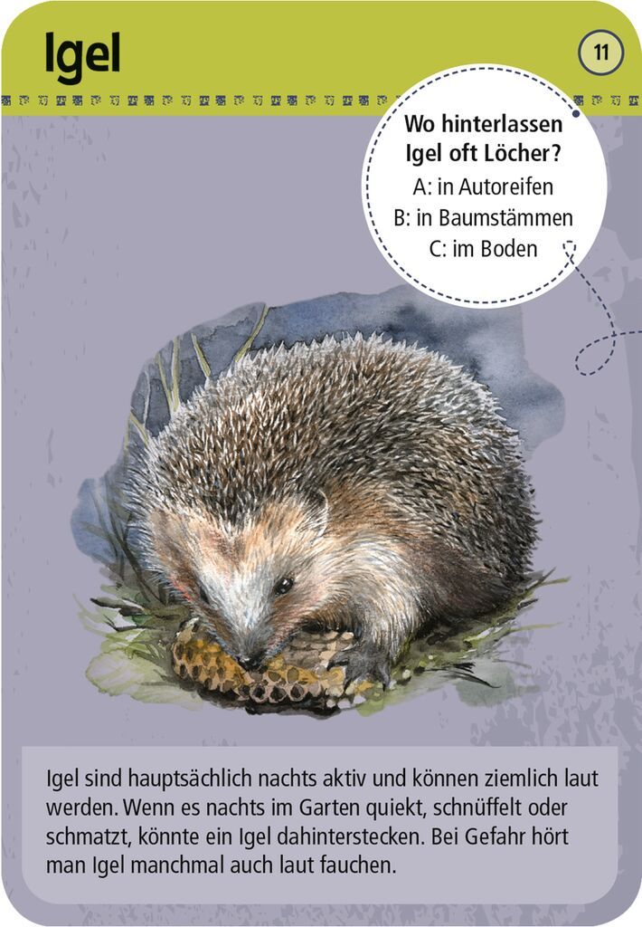 Kartenset EXPEDITION NATUR - 50 TIERE DER NACHT