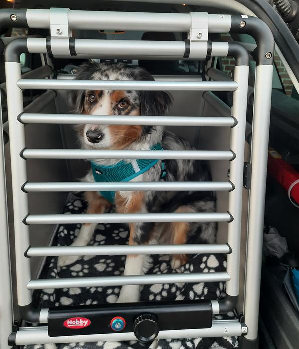 Nobby Hundetransportbox Round Corner