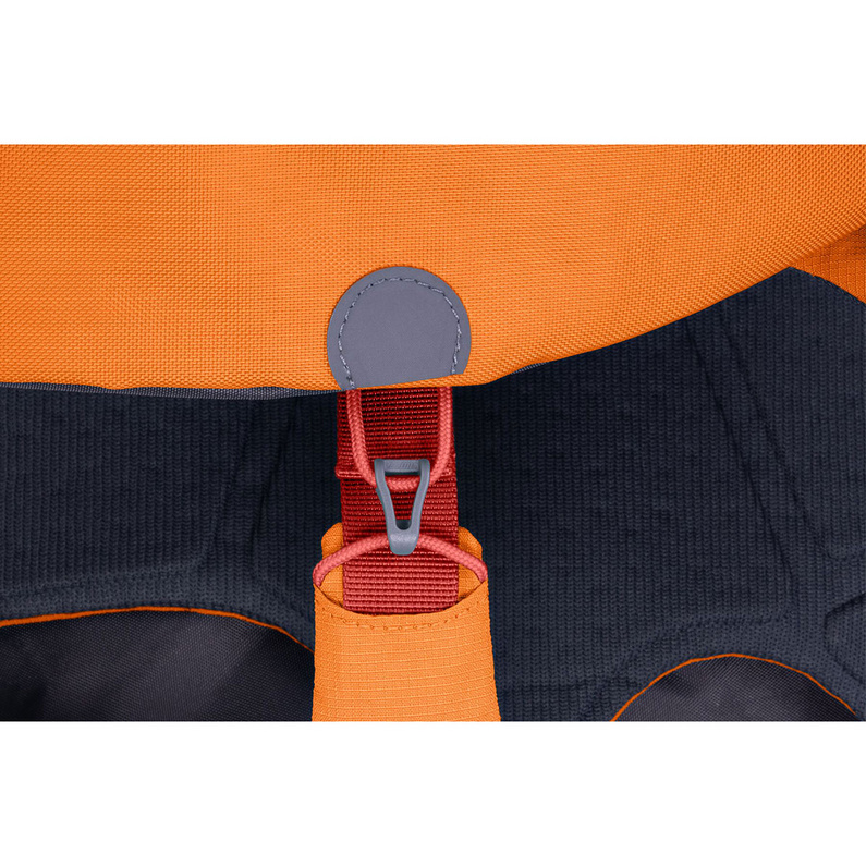 Ruffwear Approach Hunderucksack
