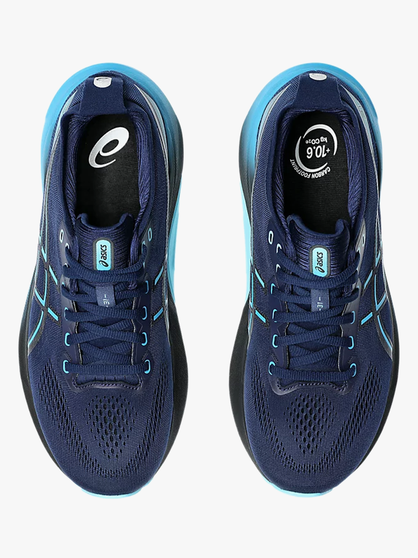 Gel-Kayano 31