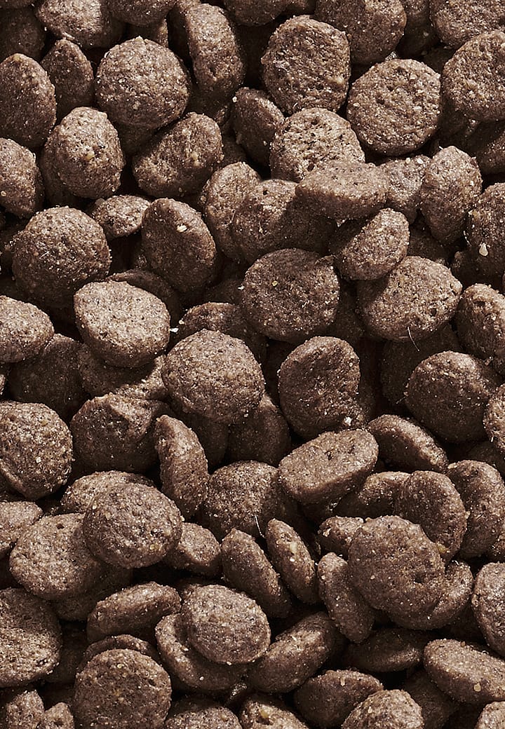Vet-Concept Dog Intestinal Low fat
