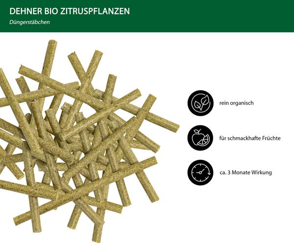 Dehner Bio Düngestäbchen Zitruspflanzen, 30