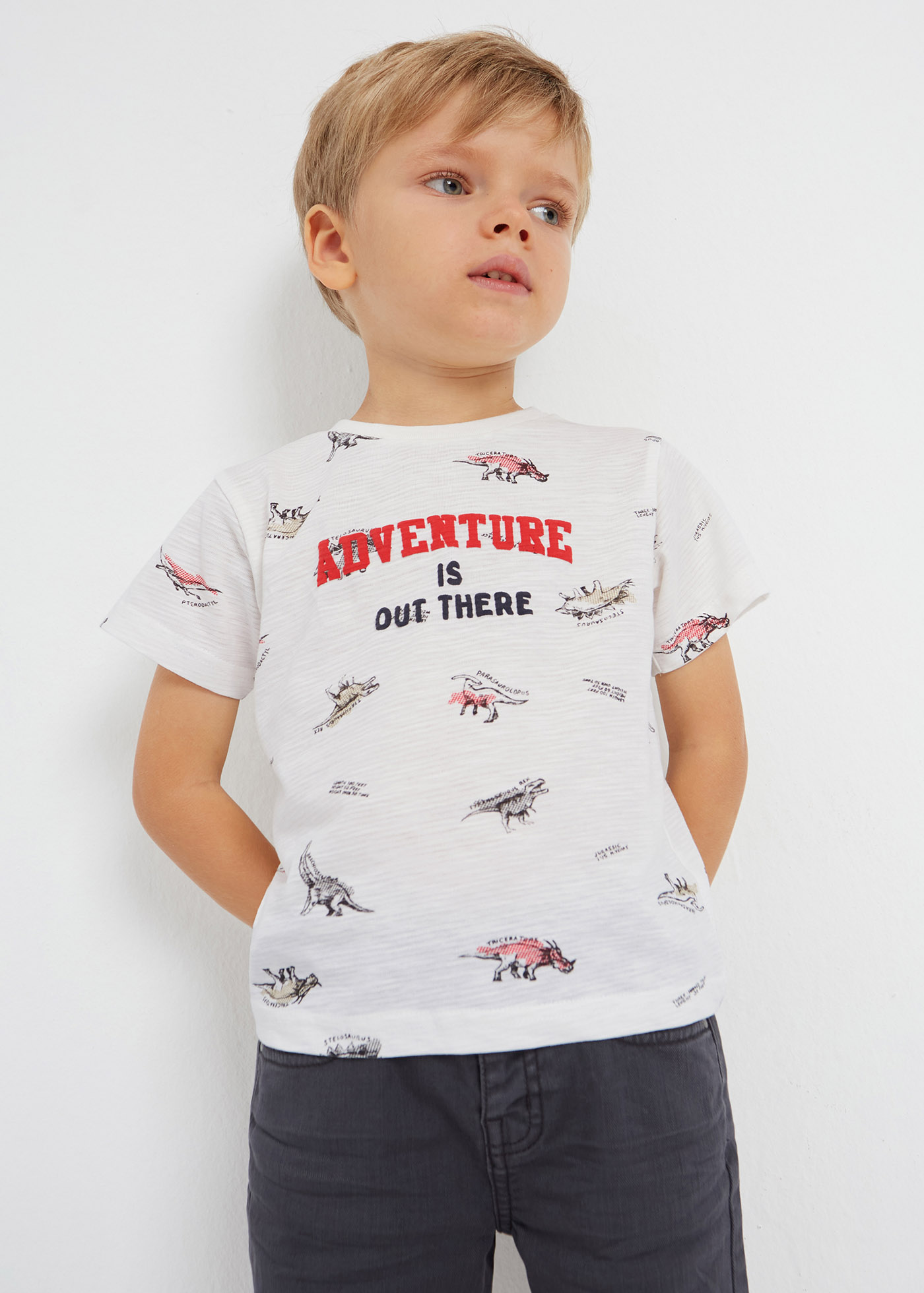 Camiseta estampada de manga curta para meninos, feita de algodão sustentável.