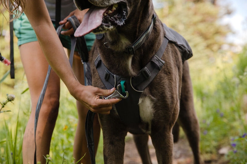 Ruffwear Switchbak Hundegeschirr Granite Gray XS 43 - 56 cm