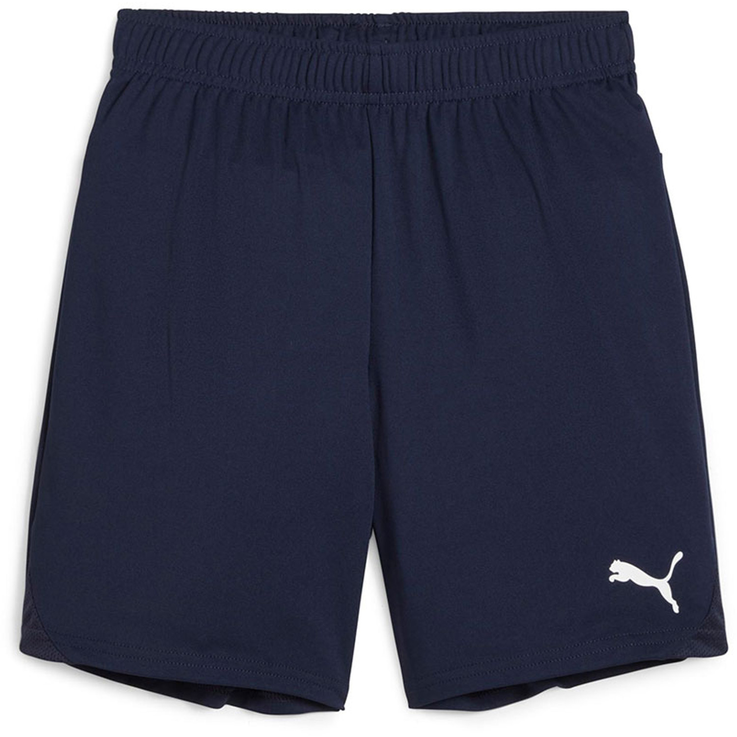 Puma GOAL Ultimate Trainingsset