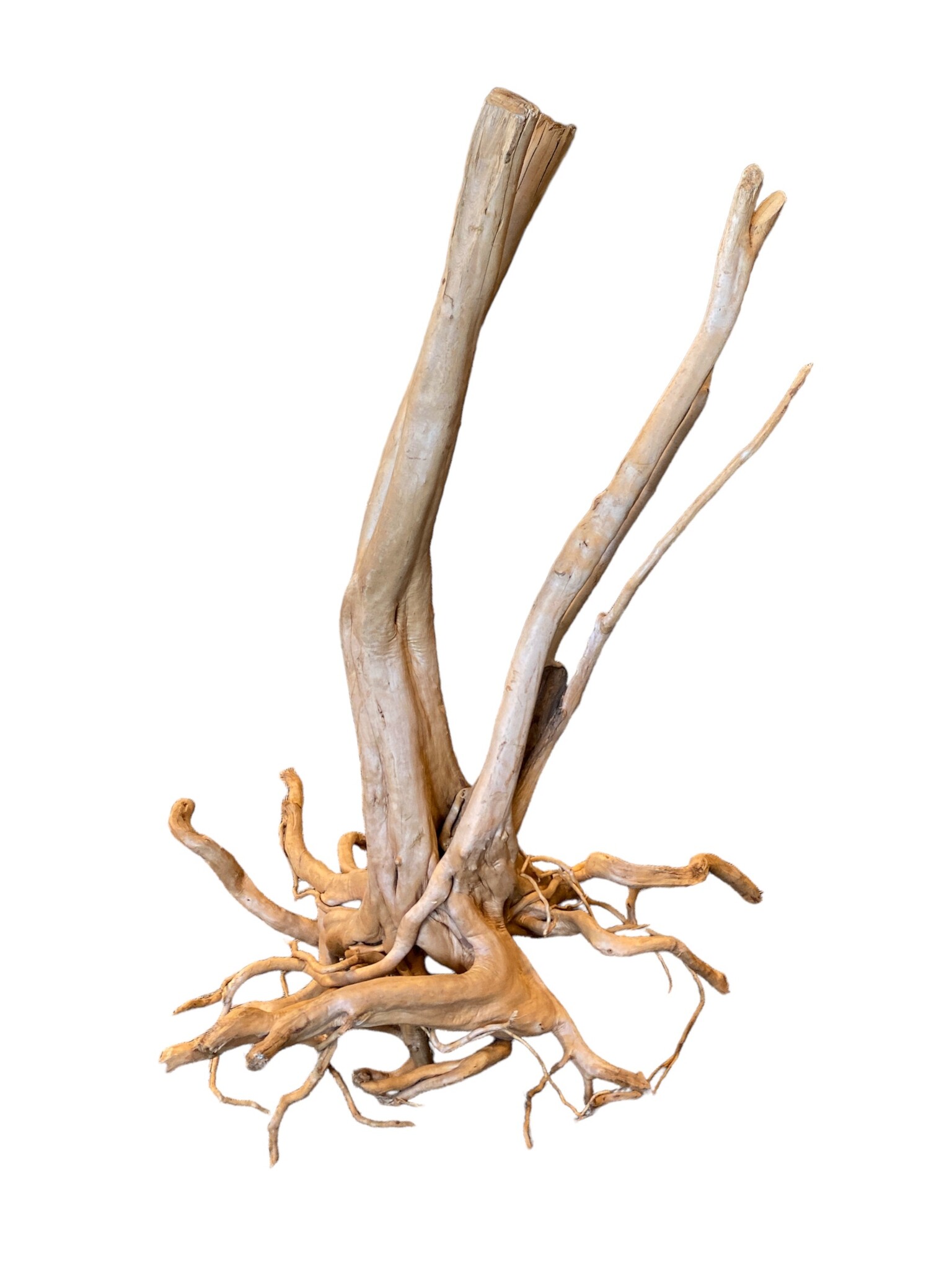 AquastoreXL Boomstronk XXL 100 - 150 cm 9,4kg - NR3 | natuurlijk hout