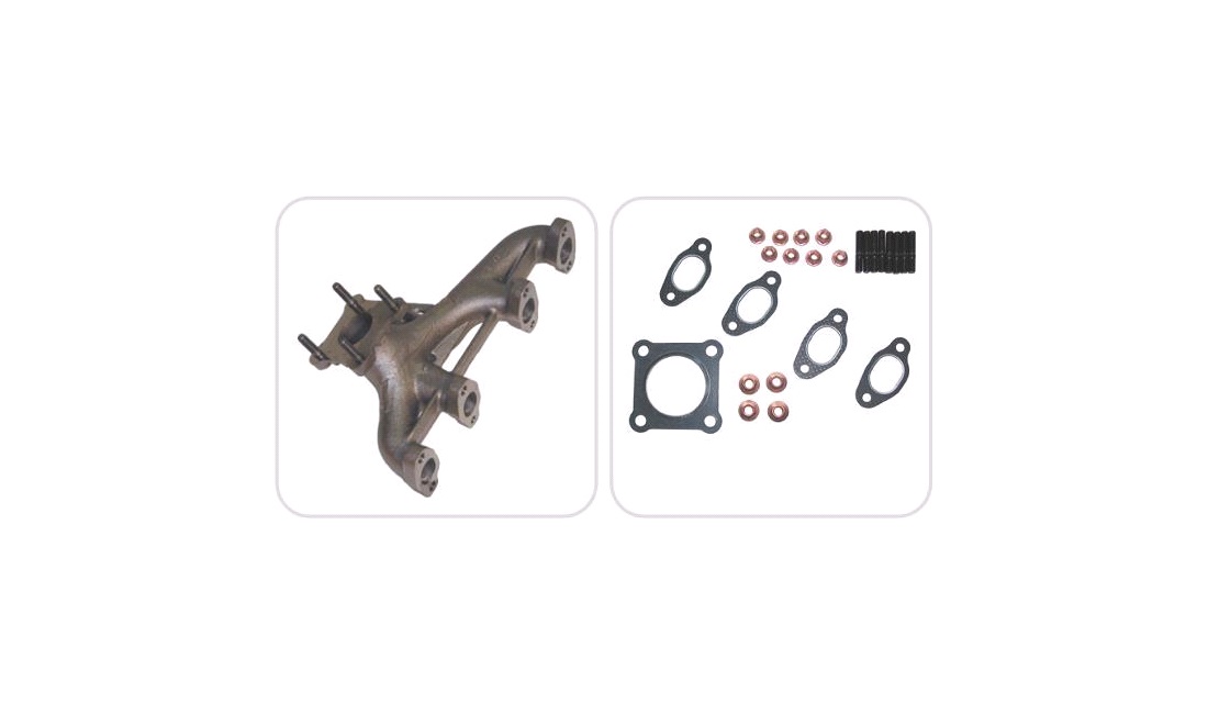 Manifold