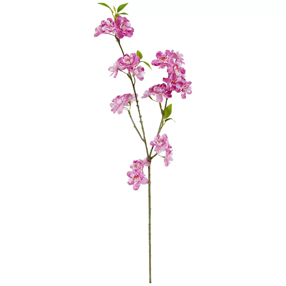 Kirschblütenzweig Ajlin Pink