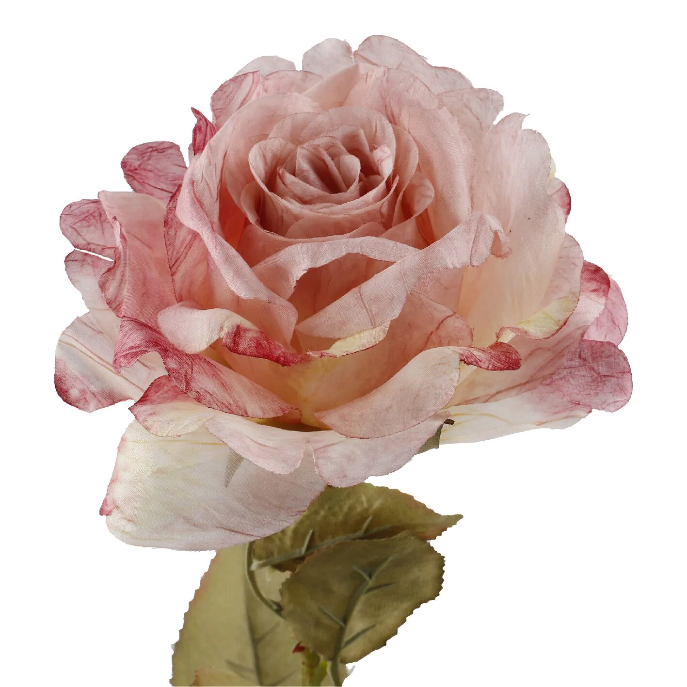 Rose Theresa, rosa, 63 cm