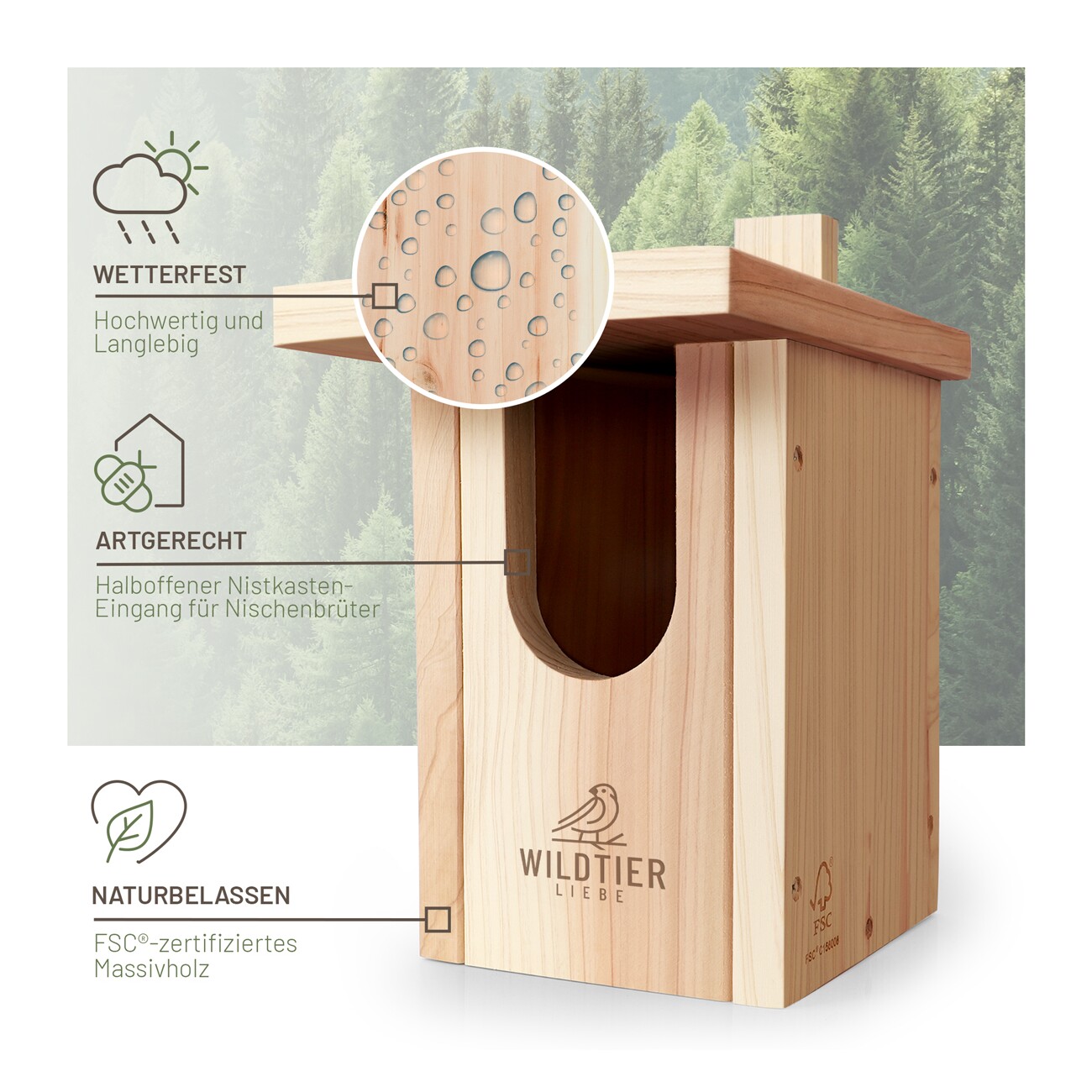 wildtier liebe Rotkehlchen Nistkasten