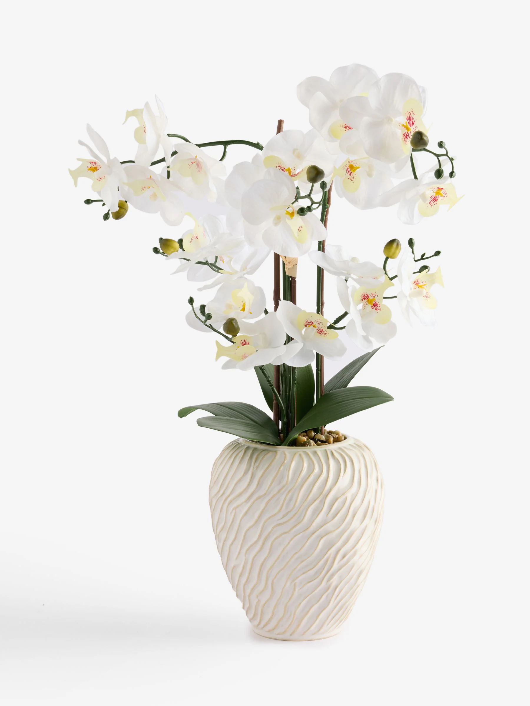 Artificial Orchid in Fairford Vase