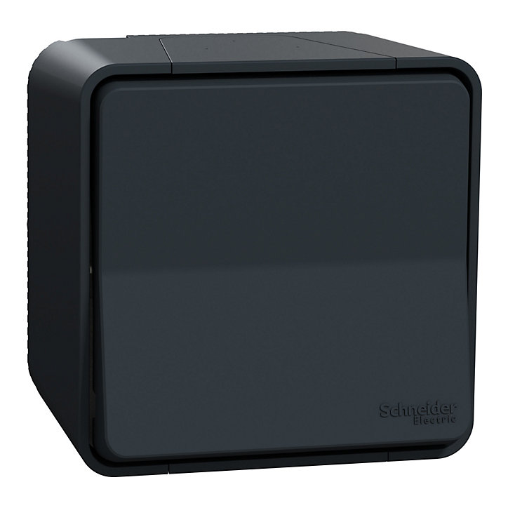 Interrupteur va-et-vient étanche complet saillie Schneider Electric Mureva Styl anthracite