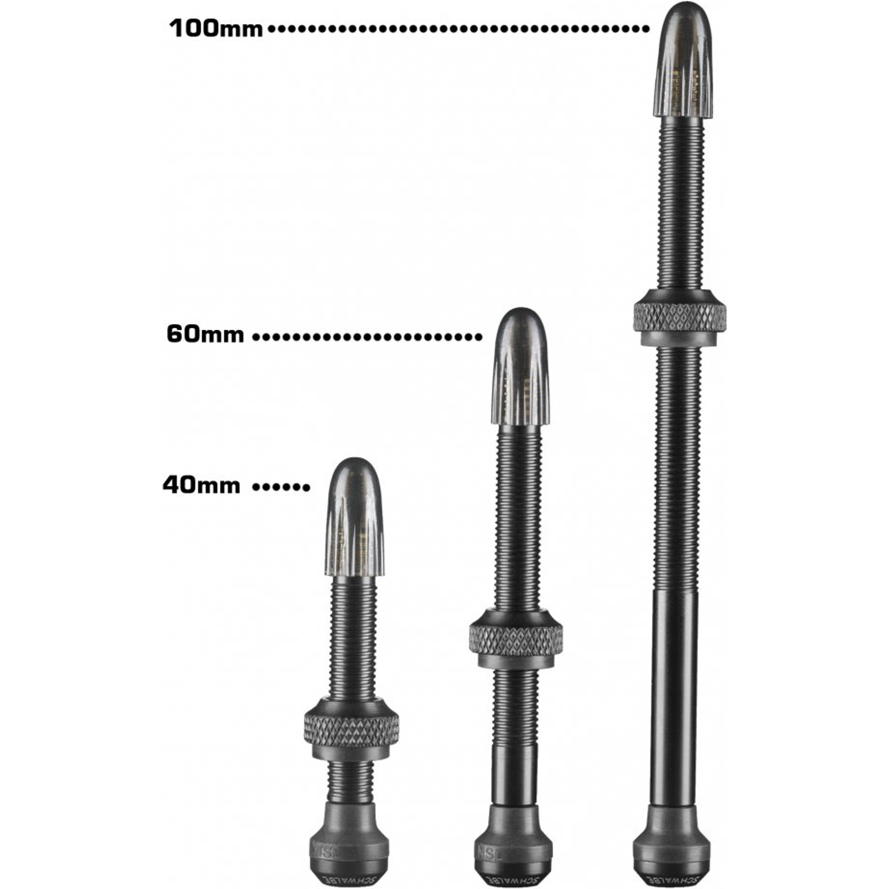 Schwalbe Tubeless Ventiel