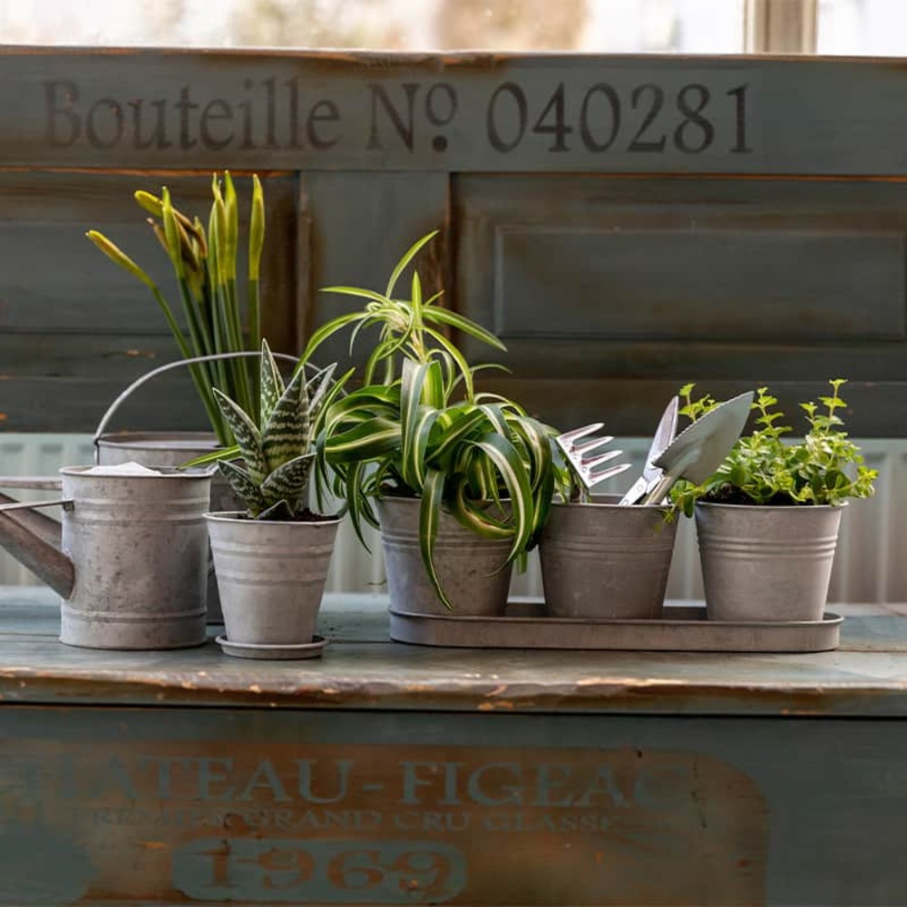 Pot de fleurs zinc 12 cm