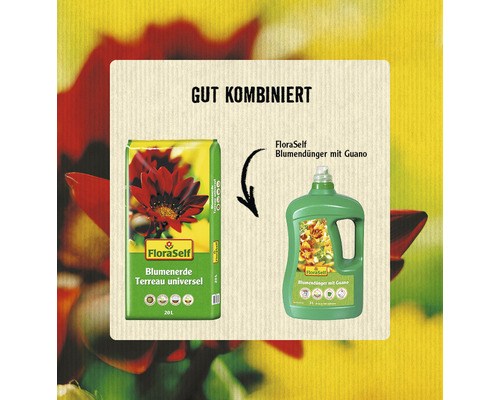 FloraSelf bloemenmeststof met guano 3 L