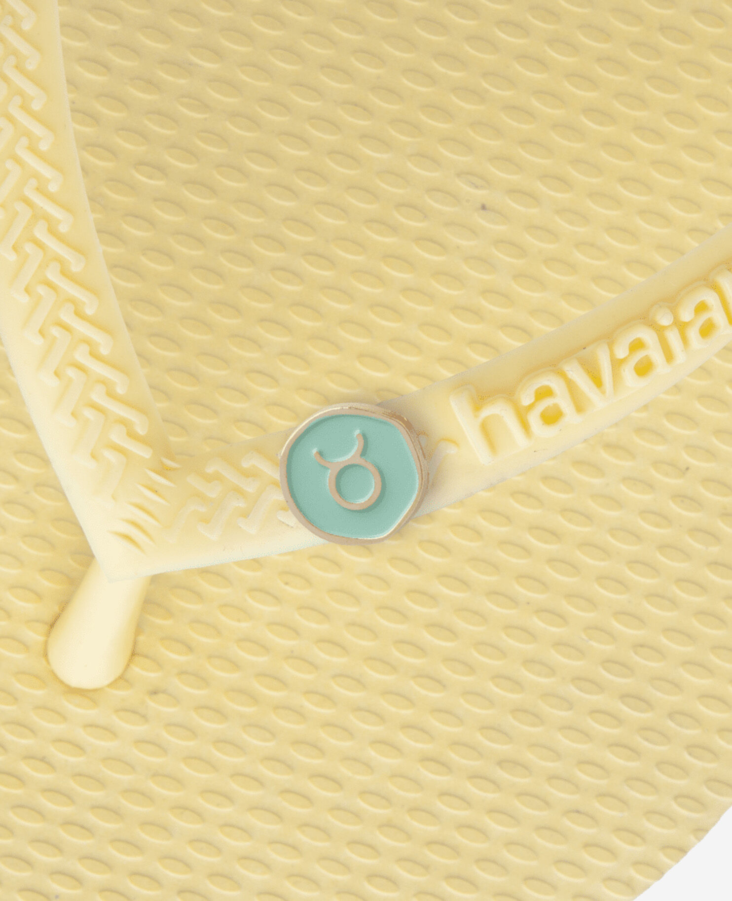Havaianas Charms Slim Stier