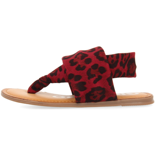 Gioseppo - ASHFOR Rojo
