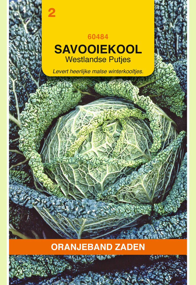Oranjeband zaden Savooiekool Putjes - Groentezaden