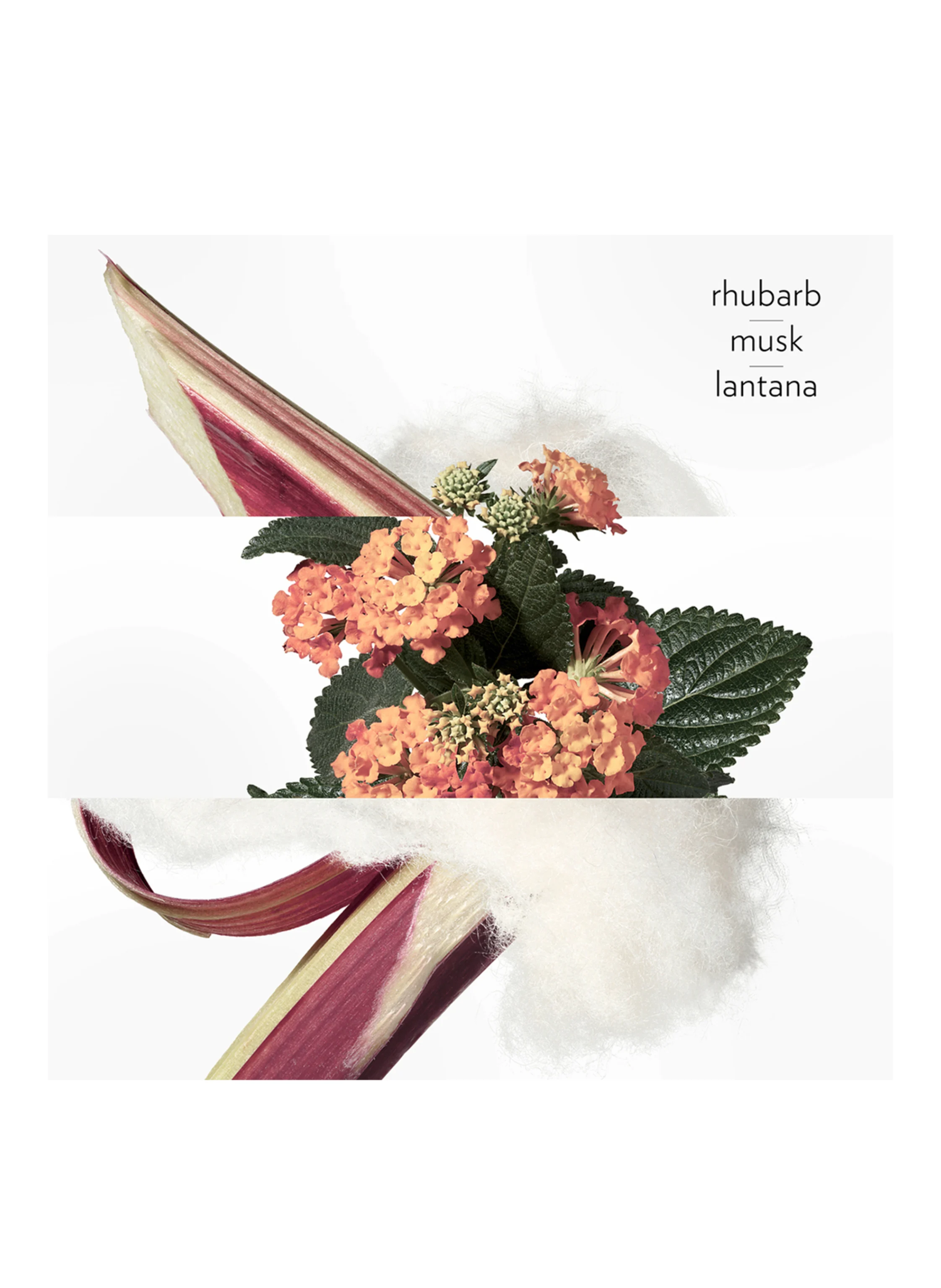 HERMÈS EAU DE RHUBARBE ÉCARLATE
