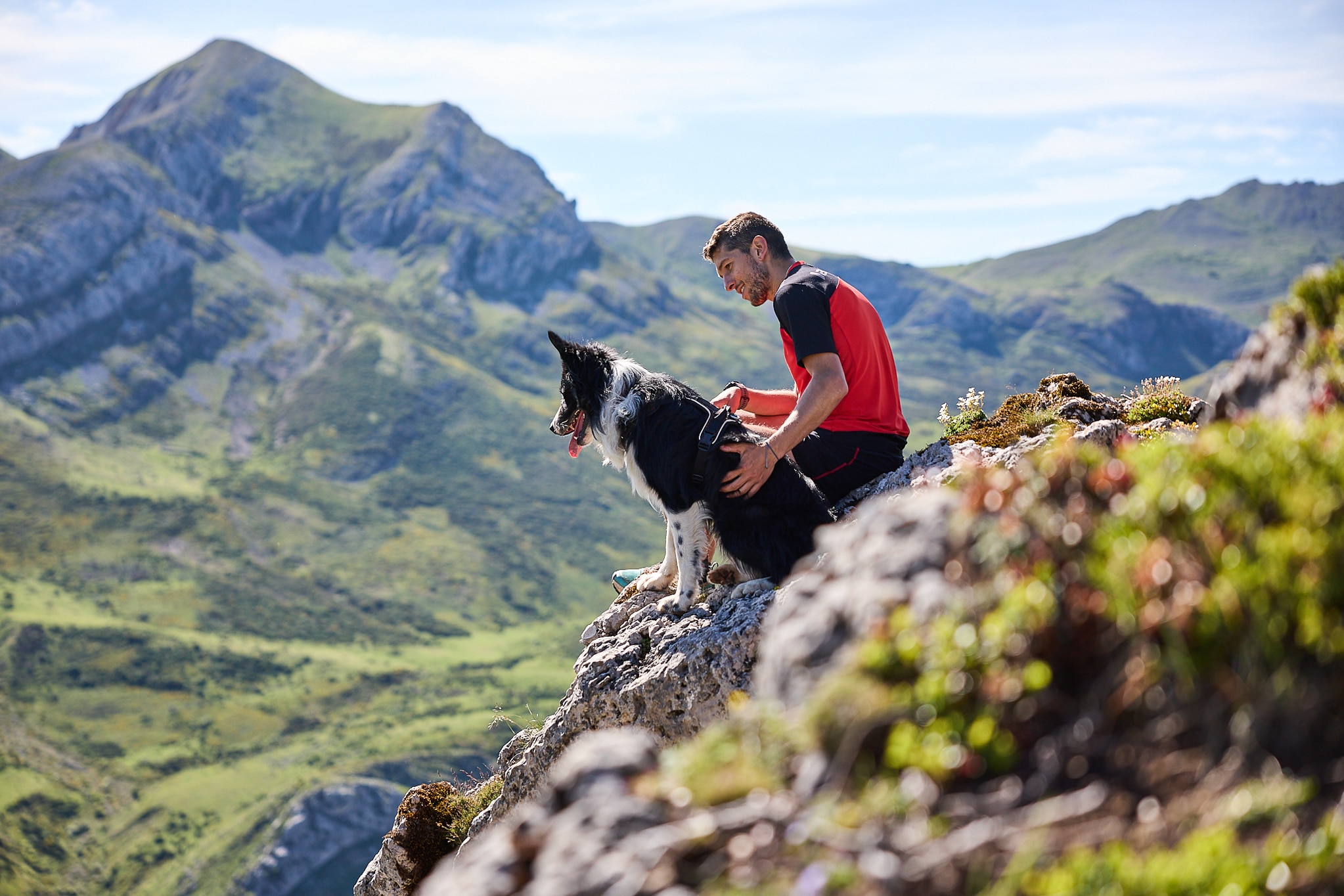 Non-Stop Dogwear Rock Harness<br>Fantastisk sommer sele