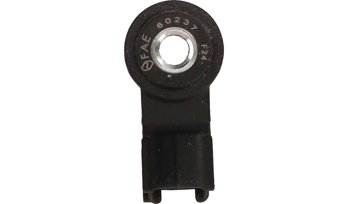 Bankesensor