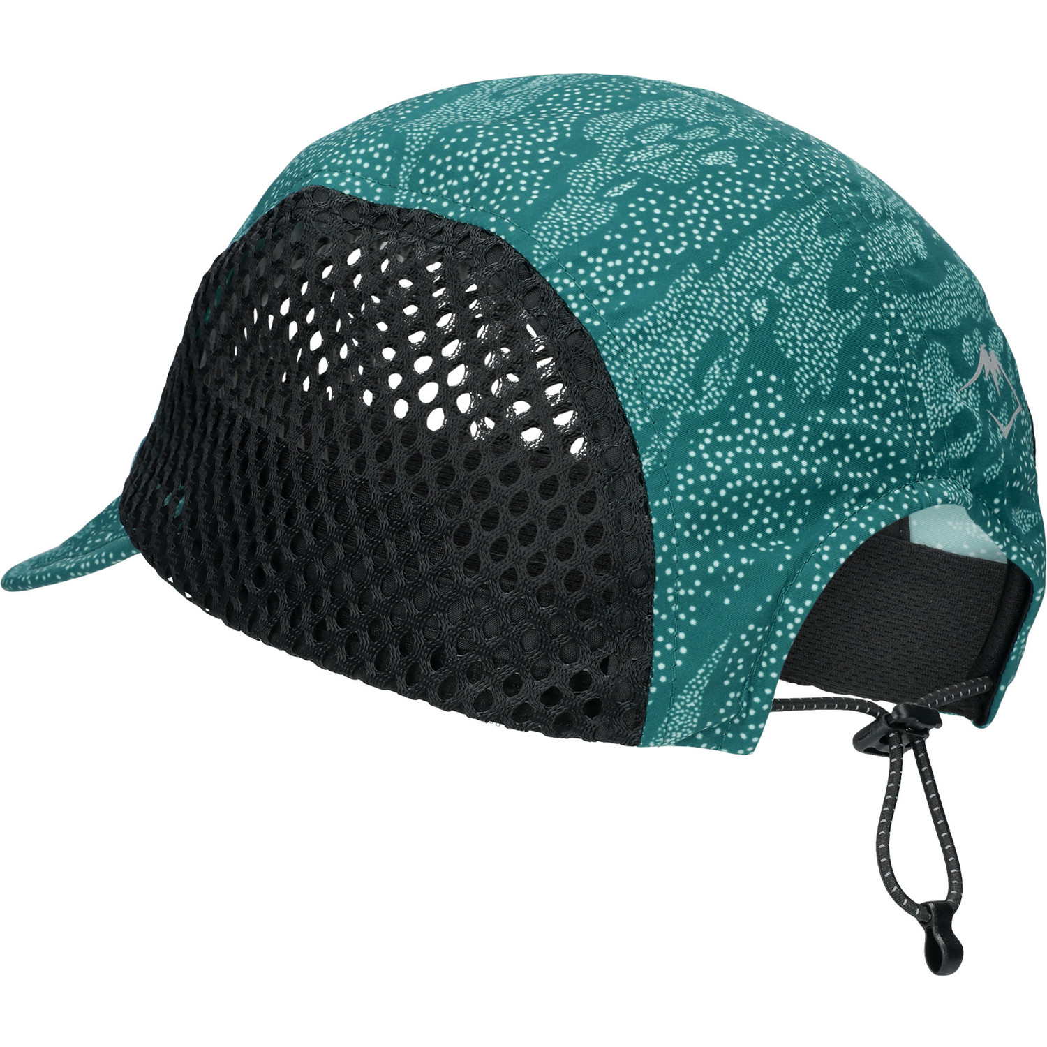 ASICS Fujitrail Pet