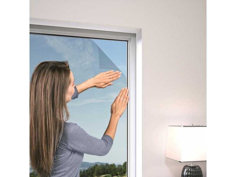 Windhager Fliegengitter IS Plus 100 x 100 cm Anthrazit Schutz gegen Fluginsekten