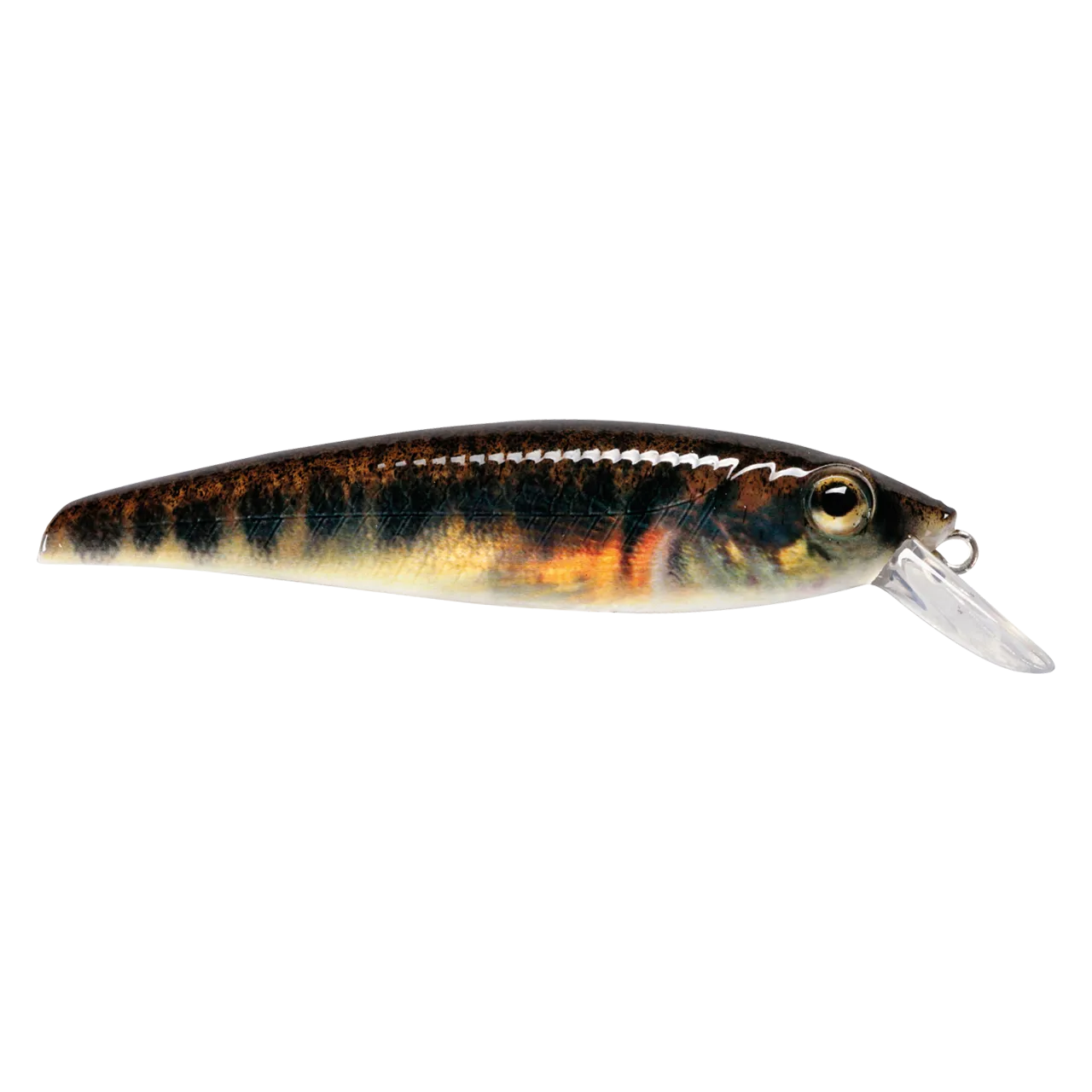 Prey Prey Deep Target Blue Herring