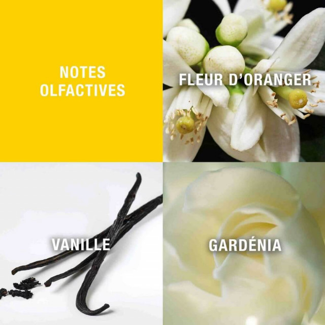 Giorgio Beverly Hills|Eau de Toilette Vaporisateur