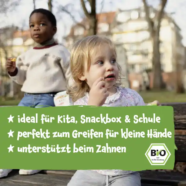 Bio Mehrkorn Ringe mit Apfel & Zimt