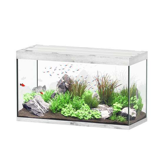 Aquarium Sublime Led 2.0 Pro Chêne Blanc L.120x P.50x H.70cm