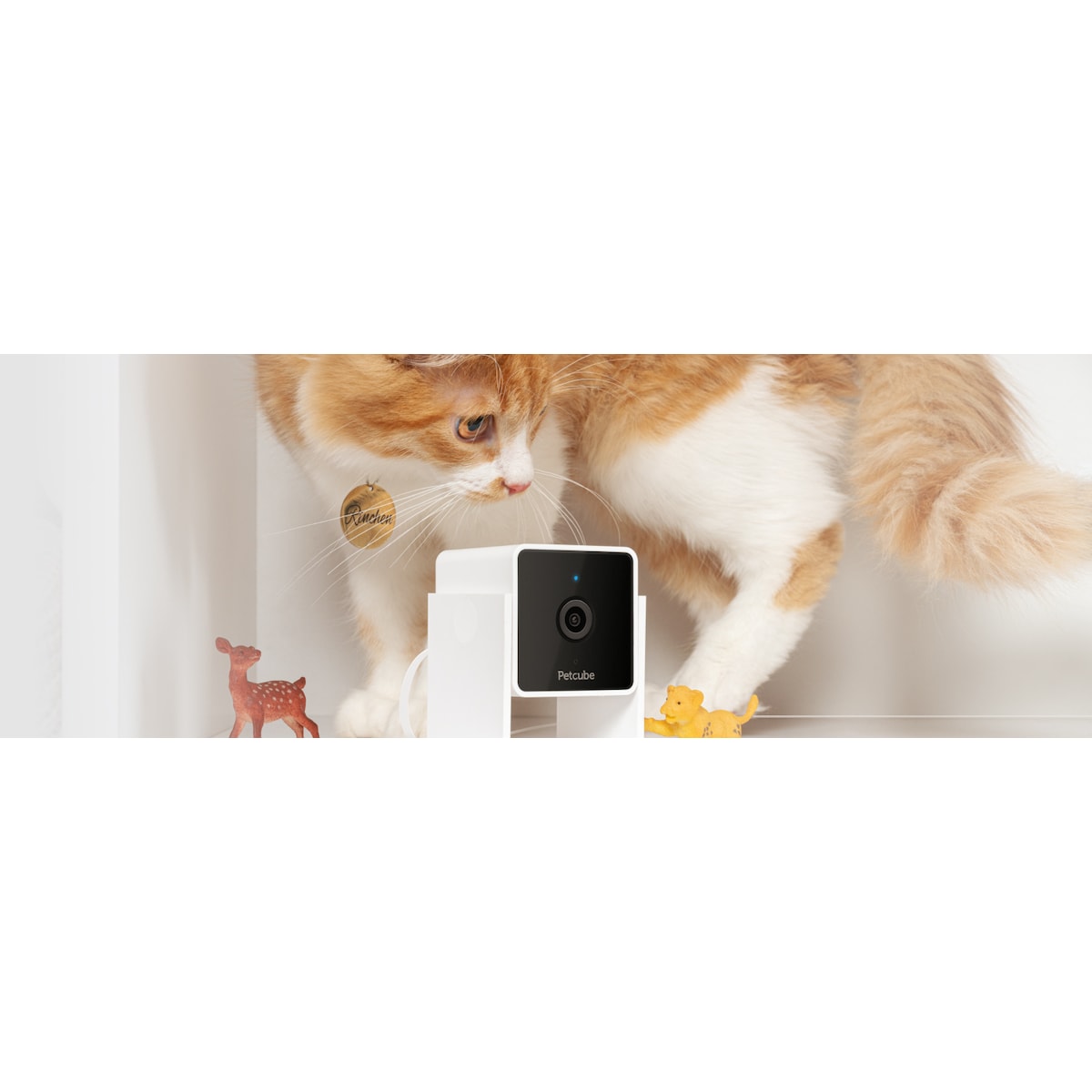 Petcube Cam