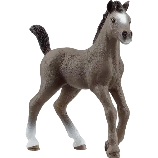 13957 Cheval de Selle Francais Fohlen