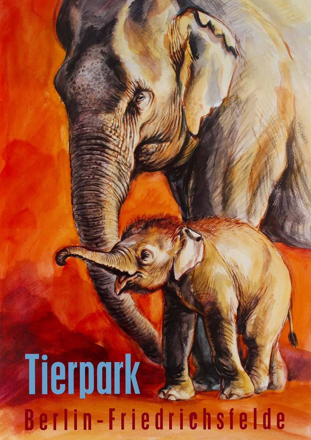 Zoo Tierpark Berlin Elefant